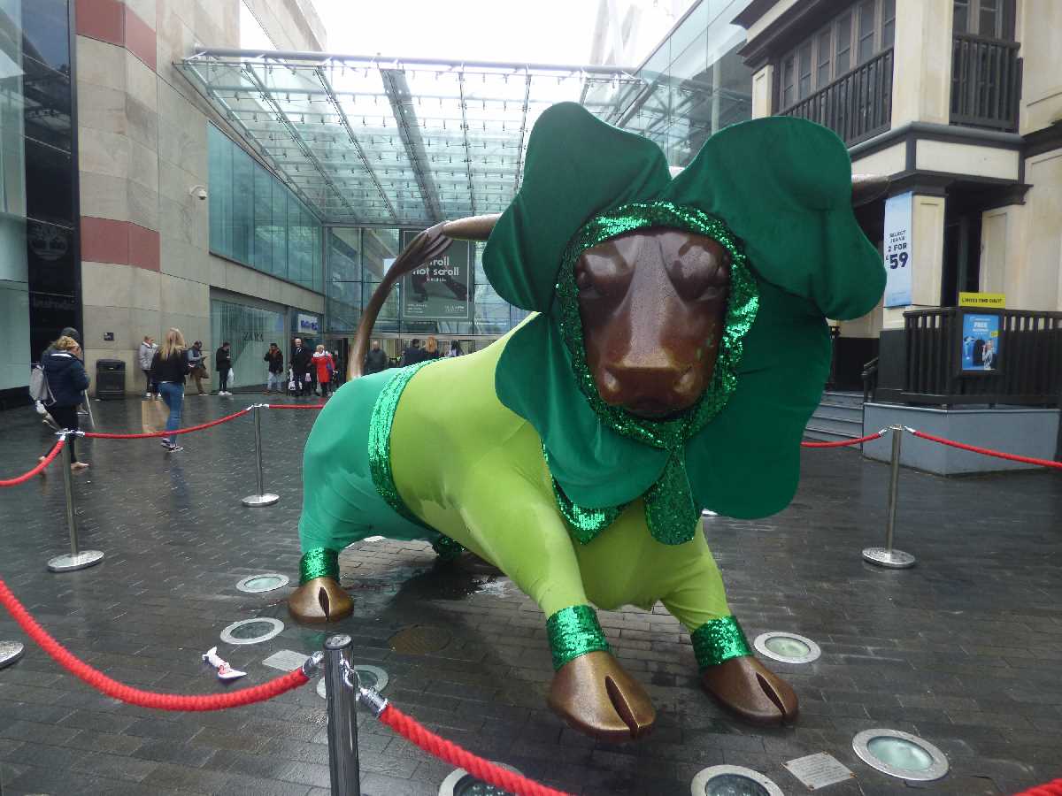 St Patrick's Day Bullring Bull (March 2020)